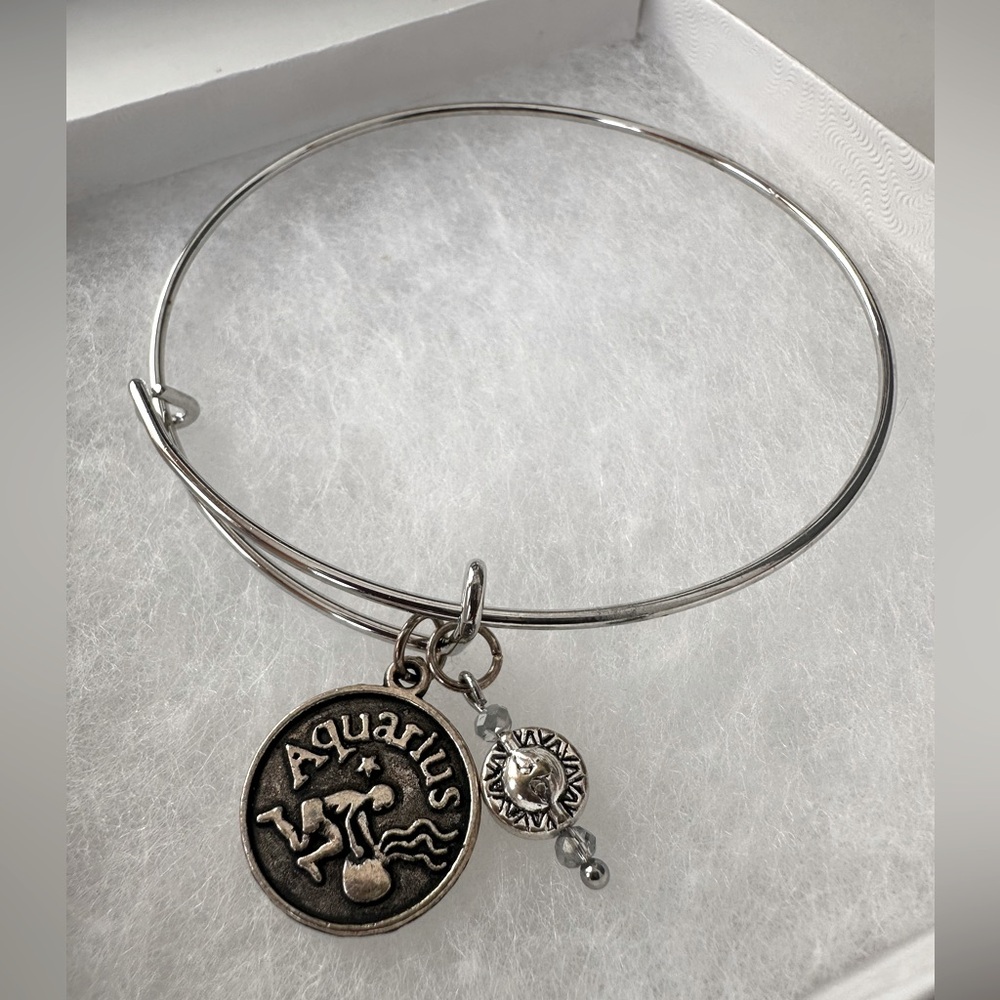 Stainless steel bracelet, Aquarius charm